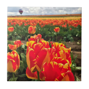 Carreau Banja Luka Tulips avec Hot Air Balloon