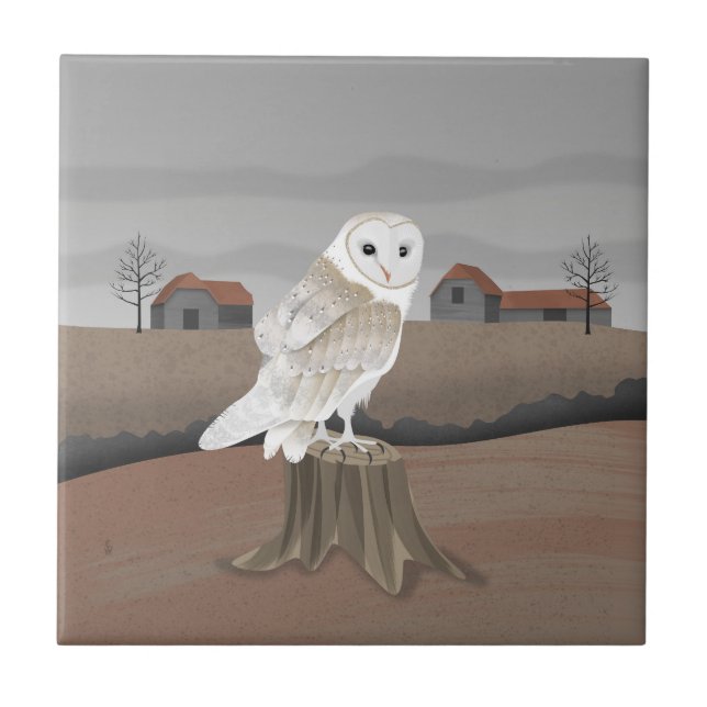 Carreau Barn Owl (Devant)