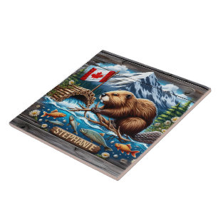Carreau Barrage de l'édifice du castor canadien près du ru