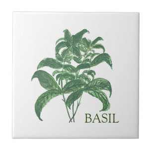 Carreau Basil Herb Verdure Cuisine culinaire Vert