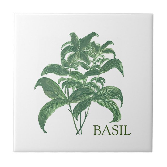 Carreau Basil Herb Verdure Cuisine culinaire Vert (Devant)