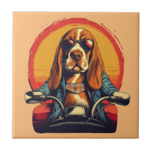 Carreau basset cool hound biker au coucher du soleil