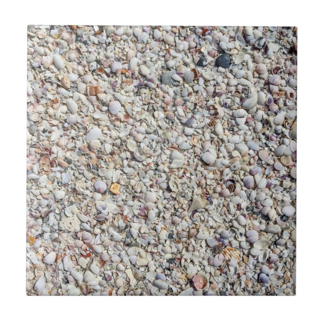 Carreau Beach Shells Sea Shell Arrière - plan Ocean Textur (Devant)