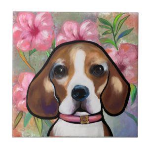 Carreau Beagle