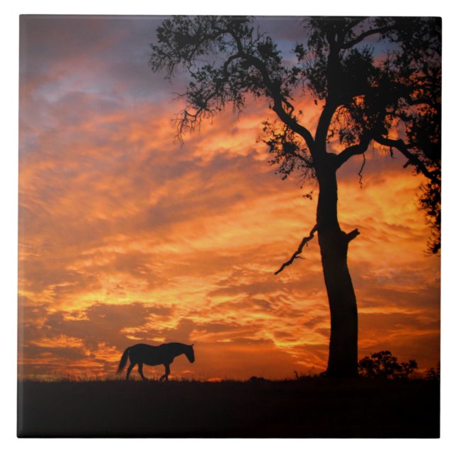 Carreau Beau Cheval et Sunset Art du Sud-Ouest (Devant)