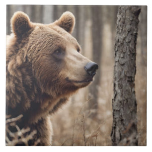 Carreau Beau Grizzly Portrait Ours Brown Ours 3a