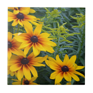 Carreau Beau jardin de fleurs de susan aux yeux noirs