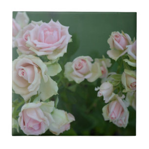Carreau Beau jardin rose clair roses