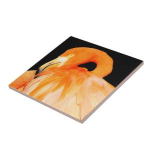 Carreau Beau oiseau Flamant rose dans le soleil d'été