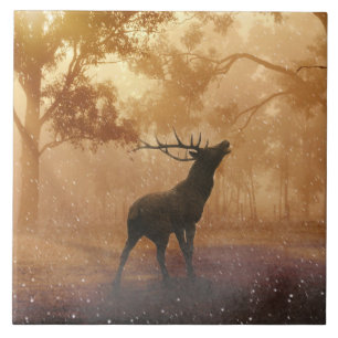 Carreau Beau paysage de nature de Hirsch