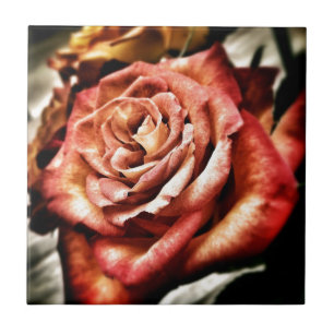 Carreau Beau Rose