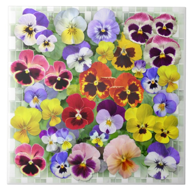 Carreau Beauté de Pansy (Devant)