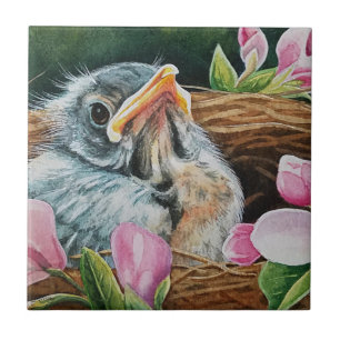 Carreau Bébé Robin Américain dans l'art de l'aquarelle du 