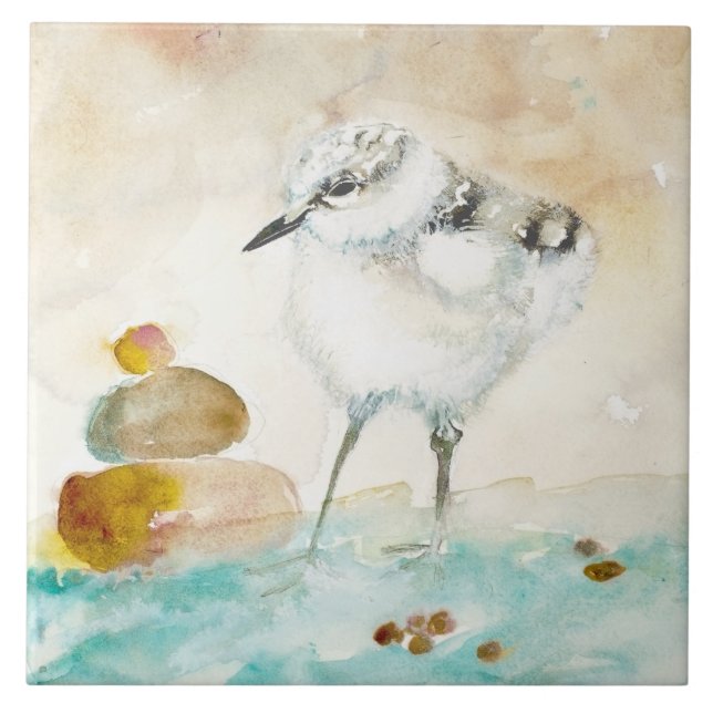 Carreau Bébé Sandpiper céramique Carrelage de cuisine (Devant)
