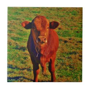 CARREAU BÉBÉ VACHE BROWN MANGER