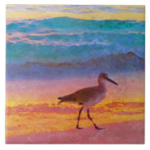 bécasseau sur la plage au coucher du soleil