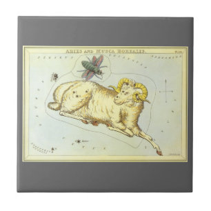 Carreau Bélier, Constellation Vintage, Miroir d'Urania