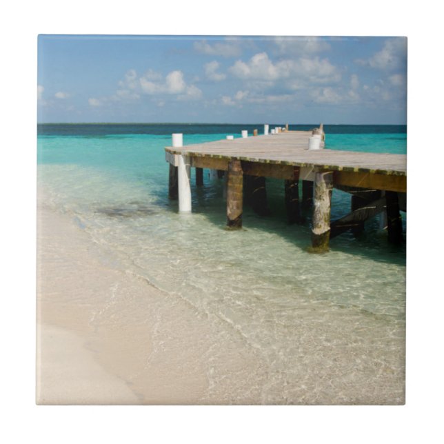 Carreau Belize, mer des Caraïbes, Goff Caye. Petite île (Devant)