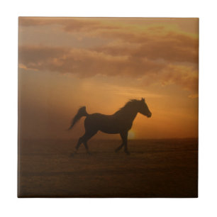 Carreau Belle Arabian Sunset Art Carrelage Cheval Lover