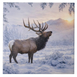 Carreau Belle Elk dans l'Art de la Neige
