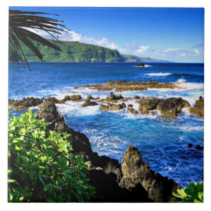 Carreau Belle Hawaii