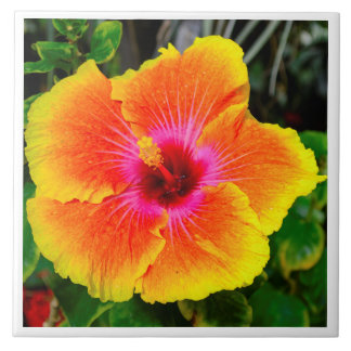 Carreau Belle image de photo de fleur