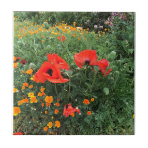Carreau Belle Pavot Rouge