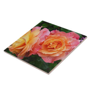 Carreau Belle photo rose rose et orange