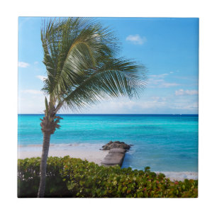 Carreau Belle plage tropicale aux palmiers venteux