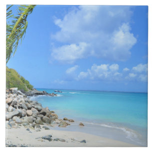 Carreau Belle Plage Tropicale Turquoise