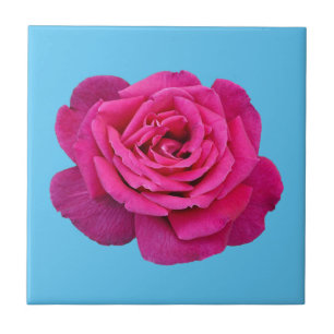 Carreau Belle rose rose