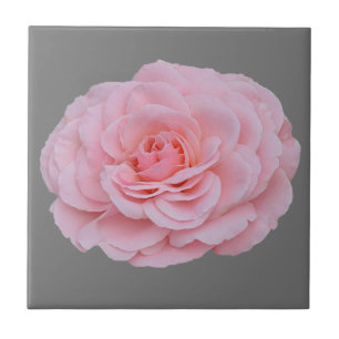 Carreau Belle rose rose
