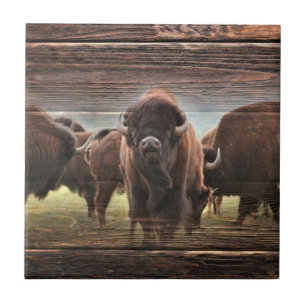 Carreau Belle Trousse De Buffalo