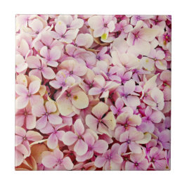 Carreau Belles fleurs d'Hydrangée