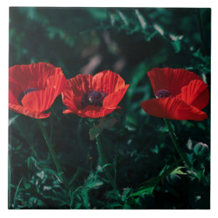 Carreau Belles fleurs rouges à trois pavots
