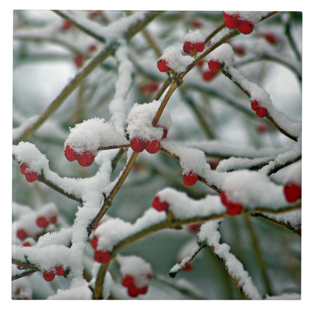 Carreau Berries rouges en hiver iPad Pro couverture (Devant)