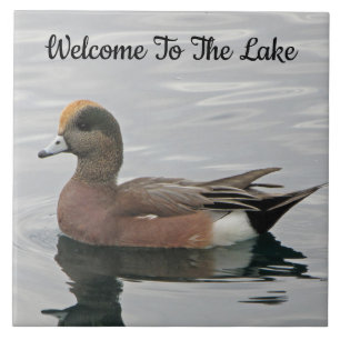 Carreau Bienvenue Canard photo Wigeon Calm Water Lake Hous