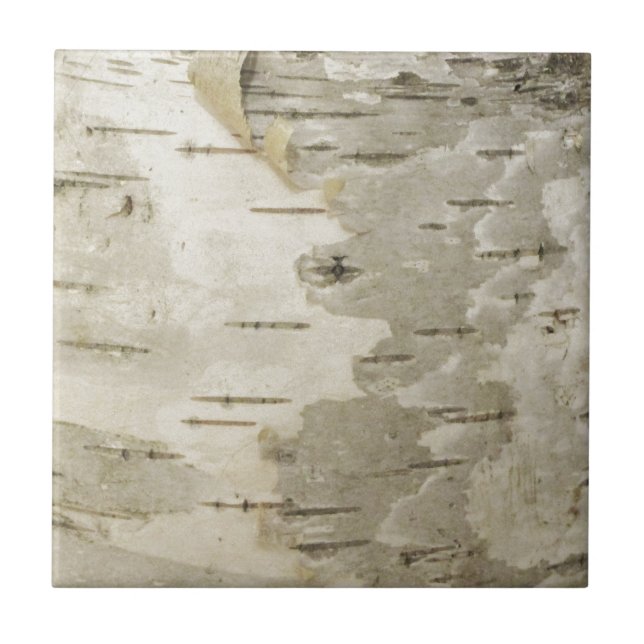 Carreau Birch (Devant)