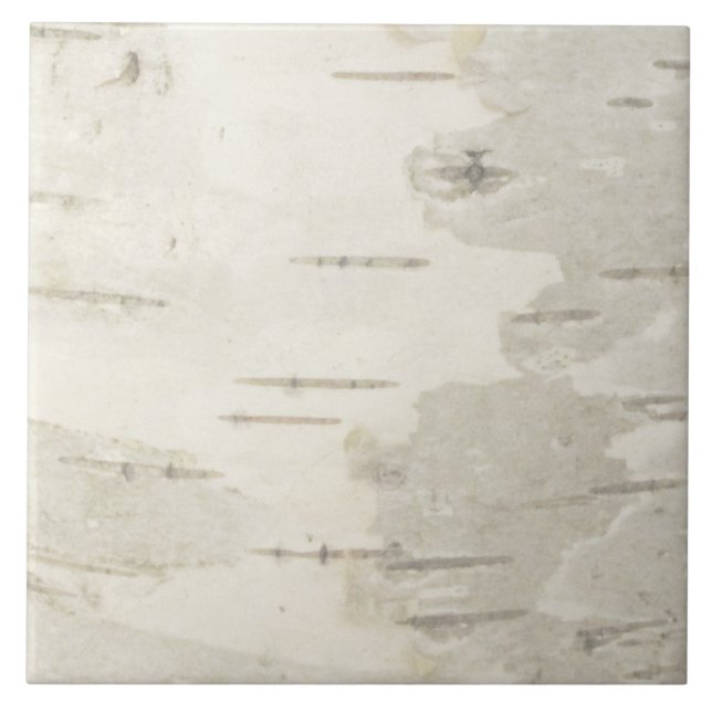 Carreau Birch Bark Nature Photographie Carrelage céramique (Devant)