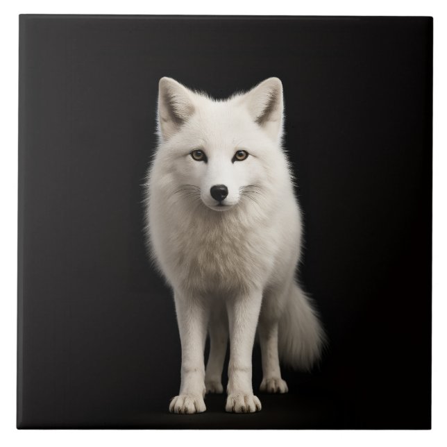 Carreau Black 4 Luxe Tile with Ivory Arctic Fox (Devant)