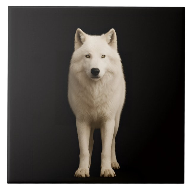 Carreau Black 4 Luxe Tile with Ivory Arctic Wolf (Devant)