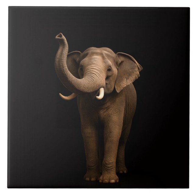 Carreau Black 4 Luxe Tile with Mighty Elephant (Devant)