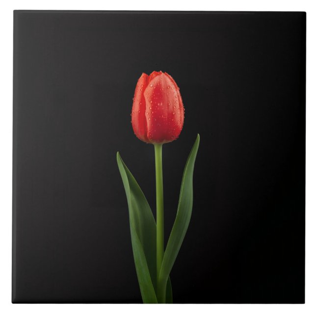 Carreau Black 4 Luxe Tile with Ruby Red Tulip (Devant)