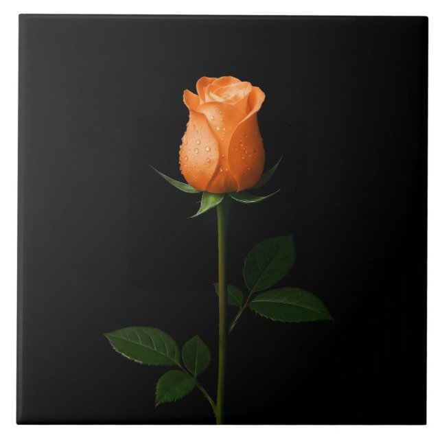 Carreau Black 4 Luxe Tile with Sunset Orange Rose (Devant)