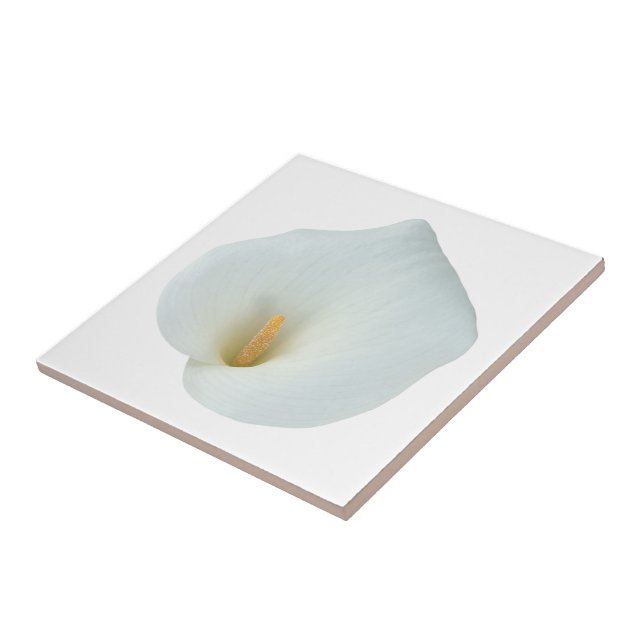 Carreau Blanc Calla Lily Jardin Fleur Jardin Photo (Côté)