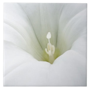 Carreau blanc et gris