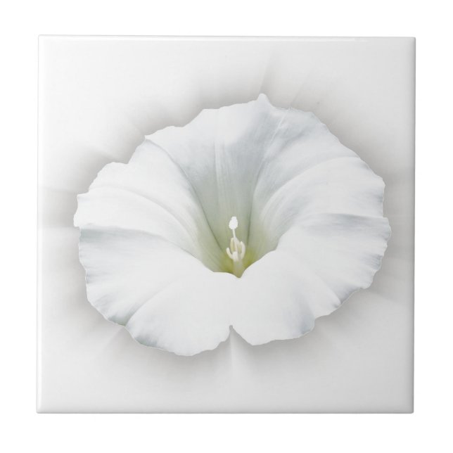 Carreau blanc et nuances de gris (Devant)