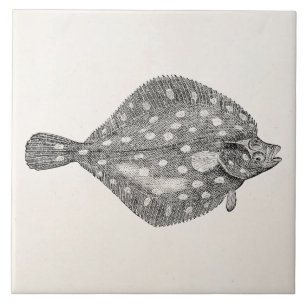 Carreau Blanc vintage de modèle de poissons de flet de