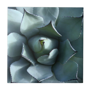 Carreau bleu d'agave