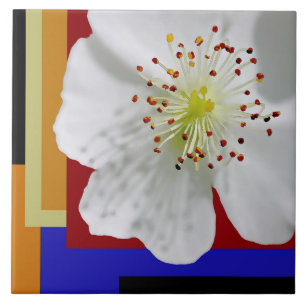 Carreau Blossom de printemps blanc Fine Art Géométrique co